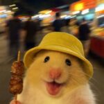 0123b365e72ab78fcf0600730d17fefb